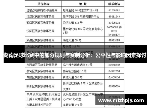 湖南足球比赛中的加分规则与赛制分析：公平性与影响因素探讨