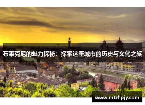 布莱克尼的魅力探秘：探索这座城市的历史与文化之旅